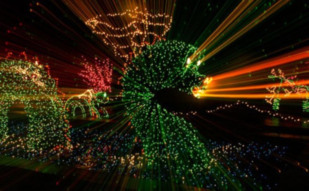 One of the imaginative lights displays seen at the Garden of Lights in Wheaton. Courtesy of Wheaton Maryland website. Photo courtesy of montgomeryparks.org/brookside/