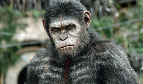This image released by 20th Century Fox shows Caesar, performed by Andy Serkis, in a scene from "Dawn of the Planet of the Apes." (AP Photo/20th Century Fox, David James)