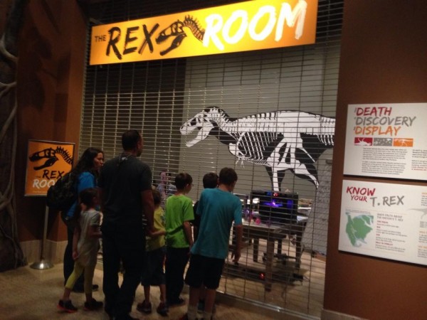 The National Museum of Natural History's Rex Room, along with a temporary exhibit depicting the dinosaur world immediately before extinction, are still open through the renovation of the main Fossil Hall. Photo by Rose Pagano.