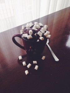 The Five Minute Chocolate Fudge S’mores Mug Cake had an inner layer of marshmallows that dissolved into the cake as it cooked. Photo by Tanusha Mishra.