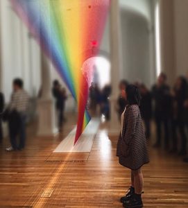 Junior Maya Chen takes in the WONDER of on of the Renwick Museum's main art pieces. This is only one of the many exhibits and activities D.C. has to offer this summer. Photo courtesy Maya Chen.