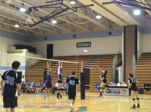 Outside hitter Hannah Jacobs lays down a kill shot against Churchill. Despite periods of strong play the Vikings defense couldn't stop the bulldogs.